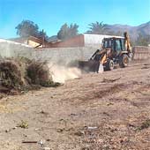 Modelo Toronto · Casas Arragón